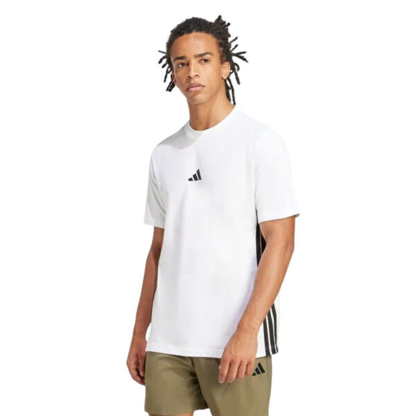 Áo Thun Single Jersey