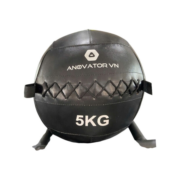 Bóng kháng lực da 5kg