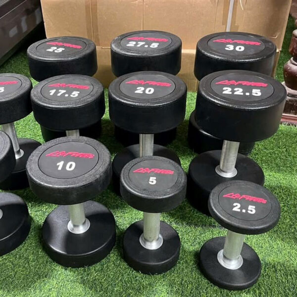 Tạ Lifefitess - 15kg