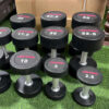 Tạ Lifefitness - 12,5kg